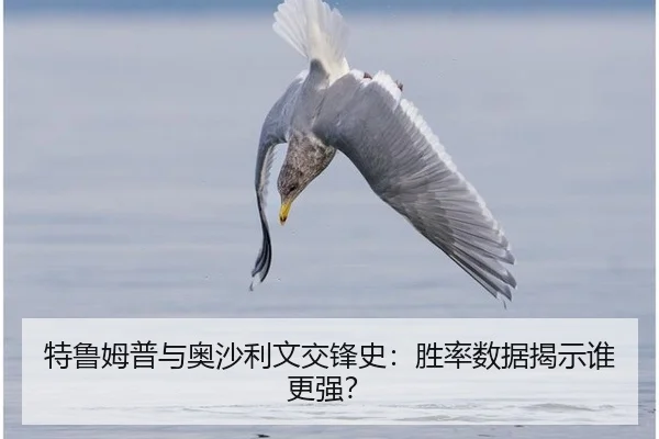 te-lu-mu-pu-yu-ao-sha-li-wen-jiao-feng-shi-sheng-lv-shu-ju-jie-shi-shui-geng-qiang-3-518.jpg